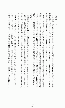 ダーク・スティンガー サンシャイン作戦, 日本語