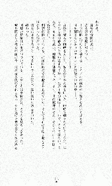 ダーク・スティンガー サンシャイン作戦, 日本語