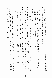 プリンセスパラダイス 召しませ王子様, 日本語