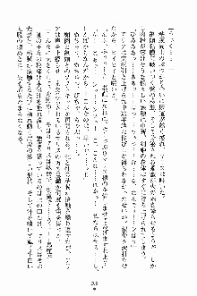 プリンセスパラダイス 召しませ王子様, 日本語