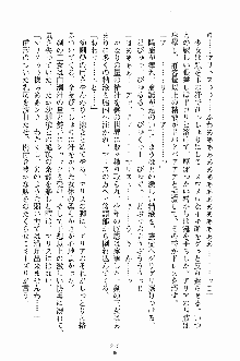 プリンセスパラダイス 召しませ王子様, 日本語