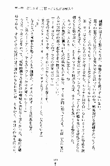 プリンセスパラダイス 召しませ王子様, 日本語