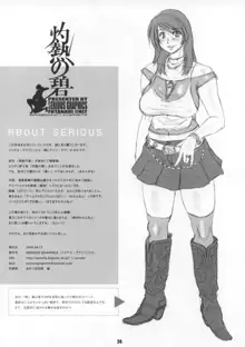 Serious Graphics C74, 日本語