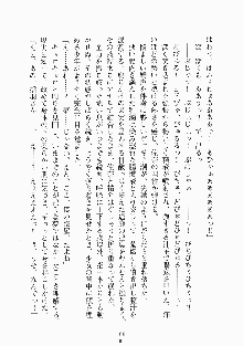 メイドと執事と御主人さまっ！, 日本語