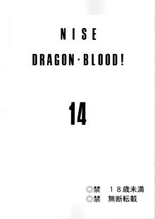 Nise DRAGON BLOOD! 14, English