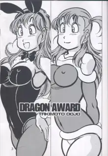 DRAGON AWARD, 日本語