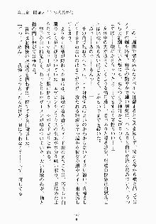 おしかけメイド隊Ⅱ, 日本語