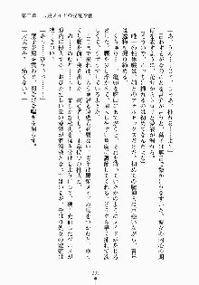 おしかけメイド隊Ⅱ, 日本語