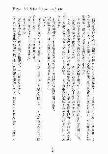 おしかけメイド隊Ⅱ, 日本語