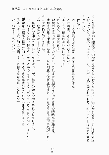 おしかけメイド隊Ⅱ, 日本語