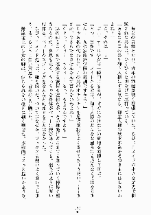 おしかけメイド隊Ⅱ, 日本語