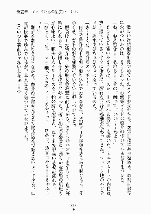 おしかけメイド隊Ⅱ, 日本語