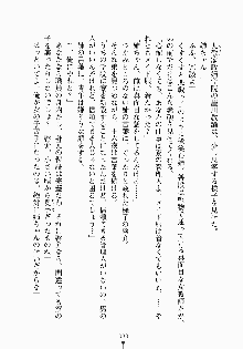 おしかけメイド隊Ⅱ, 日本語