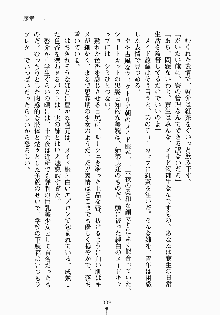 おしかけメイド隊Ⅱ, 日本語