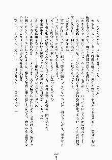 おしかけメイド隊Ⅱ, 日本語