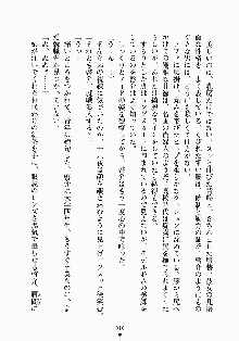 おしかけメイド隊Ⅱ, 日本語