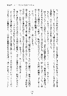 おしかけメイド隊Ⅱ, 日本語