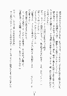 おしかけメイド隊Ⅱ, 日本語