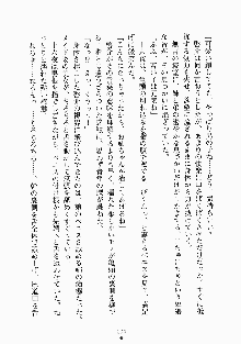 おしかけメイド隊Ⅱ, 日本語