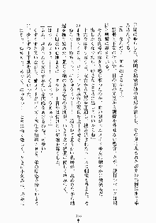 おしかけメイド隊Ⅱ, 日本語