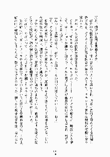 おしかけメイド隊Ⅱ, 日本語