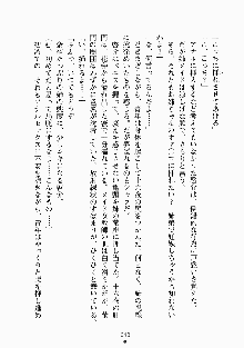 おしかけメイド隊Ⅱ, 日本語