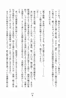 サムライいにしえーしょん 弟子と修行ざんまいの日々, 日本語