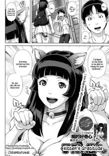 Koneko no Ongaeshi | Kitten's Gratitude, English