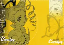 Candy Vol.2 taste yellow, 日本語