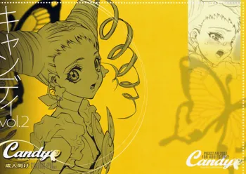 Candy Vol.2 taste yellow, 日本語