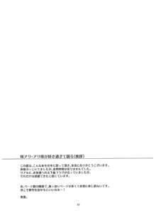 咲夜とアリスでふたなり！だけど本番無し！…そんなアホな内容です。, 日本語