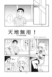 淡紅の宝珠, 日本語