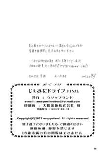 GeminiDrive じぇみにドライブ Final, 日本語