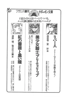 気まぐれバニーの冒険, 日本語