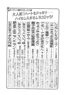 気まぐれバニーの冒険, 日本語