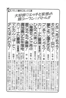 気まぐれバニーの冒険, 日本語