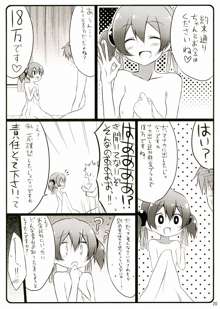 Silica chan kawaii β2, 日本語