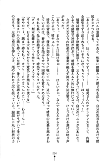 どきどきクラブボックス, 日本語