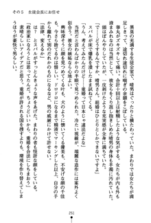 どきどきクラブボックス, 日本語