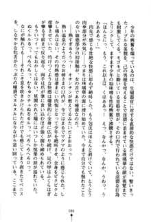 あんばらんすキッス お嬢さまお気をつけて！, 日本語