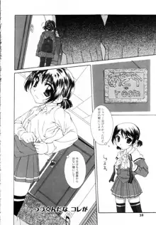 女の子の秘密, 日本語