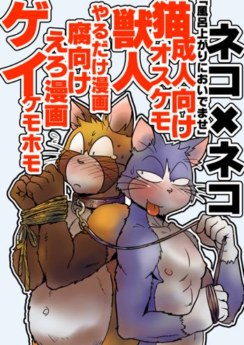 ネコ・ゲイえろ漫画, 日本語