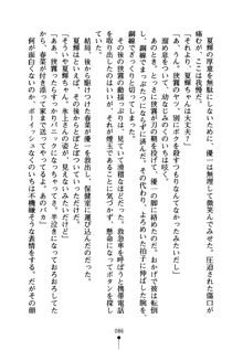 しゅごにん！ -守護忍- くのいちパラダイス, 日本語