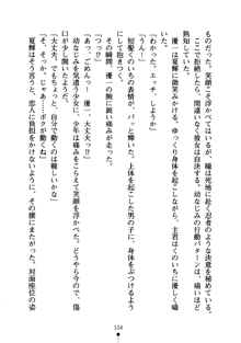 しゅごにん！ -守護忍- くのいちパラダイス, 日本語