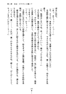 しゅごにん！ -守護忍- くのいちパラダイス, 日本語