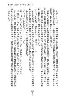 しゅごにん！ -守護忍- くのいちパラダイス, 日本語