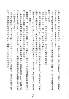 しゅごにん！ -守護忍- くのいちパラダイス, 日本語