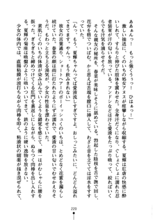 しゅごにん！ -守護忍- くのいちパラダイス, 日本語