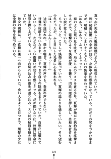 しゅごにん！ -守護忍- くのいちパラダイス, 日本語