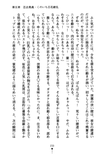 しゅごにん！ -守護忍- くのいちパラダイス, 日本語